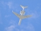 Gulfstream Aerospace G-V-SP Gulfstream G550